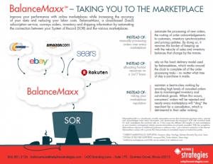 BalanceMaxx SaaS Service - Marketplace Plug-in